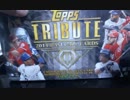 【MLBトレカ開封】2014 TOPPS Tribute 1BOX 開封