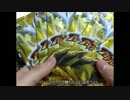 ［ポケモンカード］ＳＲめざして！ポケカ開封ぱーと10［ゆっくり開封］