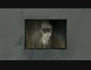 零～眞紅の蝶～実況プレイ　ブレイズの幽霊退治再び！　Part34