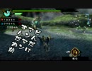 【MHP3】クッソうるさい二人の狩猟生活記 -5日目-