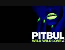 Pitbull - 'Wild Wild Love' (Official) Lyrics ft_ G_R_L_