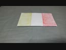 MTGさくさく開封その10【旅のお土産開封part3】