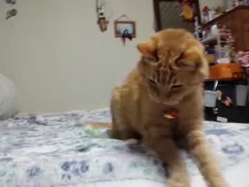 遊ぼう！