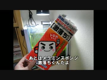 【ゆっくり】初心者が水槽を立ち上げる その3
