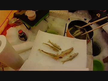 釣り人目線の氷上ワカサギクッキング