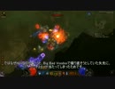 Diablo3 / Witch Doctor / Inferno MP10 / Act1 トレハン動画 (1)