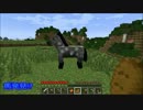 【Minecraft実況】マイクラをなんとかする Part04