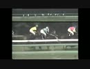 1992年　浦安特別　オールレインボー　玉ノ井健志騎手落馬
