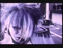 the GazettE / MAD MARBLE HELL VISION