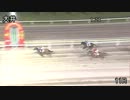 2013年8月30日大井競馬11R　東京中日スポーツ賞(A2以下) セントマーチ