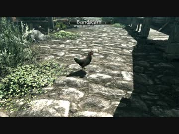 TESV 2014-03-04 21-56-26-723.mp4