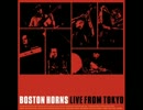 Boston Horns／In The Pink