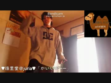 イケメンらくだがハッピーシンセサイザー踊ってみた