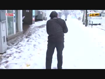 シーサ。の回胴日記_第２０４話[by ARROWS-SCREEN]