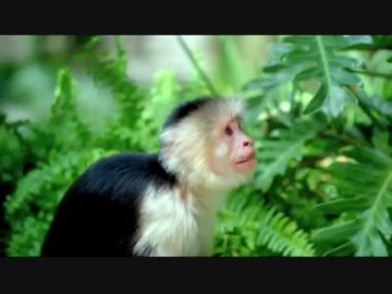 【最新】2014年03月08日付UK 50チャート+UKアルバムチャート+？チャート＋α