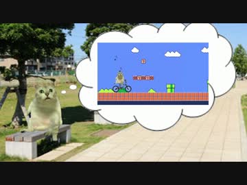 自転車に乗りたいMUR猫