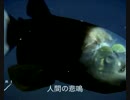 デメニギスのうた　深海魚のうたシリーズ