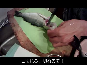 【かーびーの釣り日記】21 投げ釣りでセイゴ@木曽川