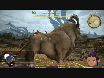 【新生FF14】エオルゼアレポート42: 東ザナラーン【ゆっくり実況】