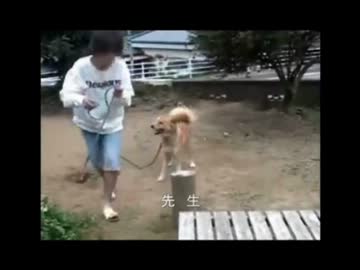 【永井先生】ヤフーチャット万歳と永井動画