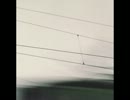 Max Richter - Sarajevo
