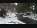 ヤマメが食べたくなって・・・　　　祝解禁編