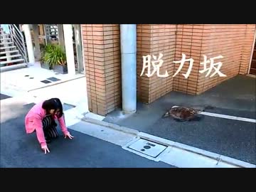 【脱力坂】藤月貴恵