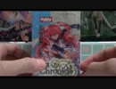 【ﾗｽﾄｸﾛﾆｸﾙ】どうせだし開封動画撮ってみる05【災禍を討つ者】