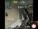 [ゆっくり]史上最弱！？君は世界を目撃する２[ＡＶＡ]