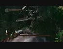 【ふたり実況】PS3 DARKSOULS part19【雑談多】