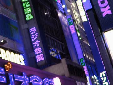 【ＮＮＩ】Electrical bitch town