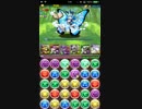 【パズドラ】蒼の華龍を光リリスで。