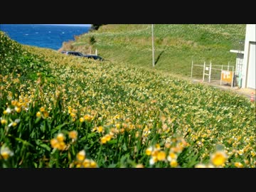 【ninja250r】長崎　野母崎ツーリング　part.3