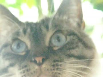 ジャンくんの背中にチュー！パパの場合とママの場合