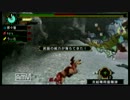 【MHP3】趣味の合わない３人のハンター生活　下位ペッコ編