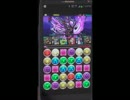パズドラ解説実況　ベルゼブブ降臨　バステト＋ドロイドラゴン毒無効PT