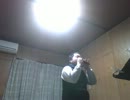 【演奏させていただいた】君をのせて【オカリナ】