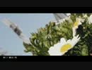 ʕ　·ᴥ·ʔ＜『春に一番近い街』を歌ってみた。