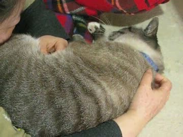 ママに甘えるジャンくん