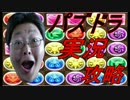 【パズドラ】タケミナカタ超地獄級ノーコン【実況】