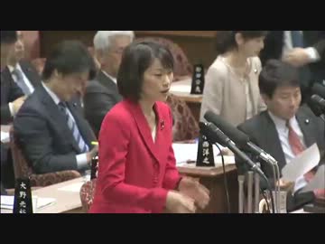 H26/3/12 参議院予算委員会集中審議・丸川珠代【公共放送】