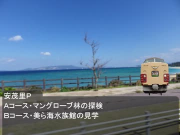 あずささんと行く真冬の沖縄旅行Ｐａｒｔ9
