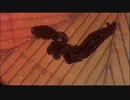 真・三國無双Online Z 乱戦動画 17th day ～パーティーの夜～ Part 1