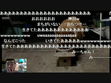 ドルジは生きていた！（2014.03.12）