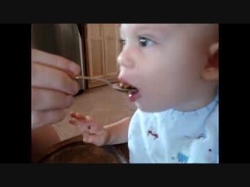 納豆を食べる海外の子どもたち