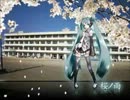 【もち&紫杜希】桜ノ雨【歌ってみた】