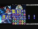 【ただのオジが行く】 -パズドラ実況 part23- 集結！進化ラッシュ！！