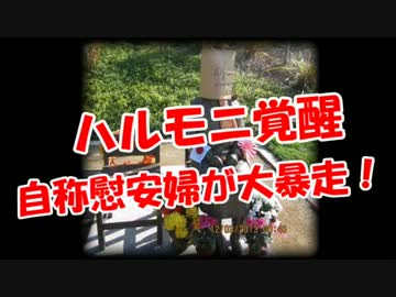 【ハルモニ覚醒】自称慰安婦が大暴走！