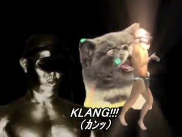 シスコは戊辰シティ.singitkitty