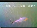 3.14ひげかへる師川つりxaac.mp4